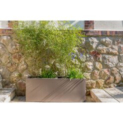 Plante en pot devant un mur de pierre